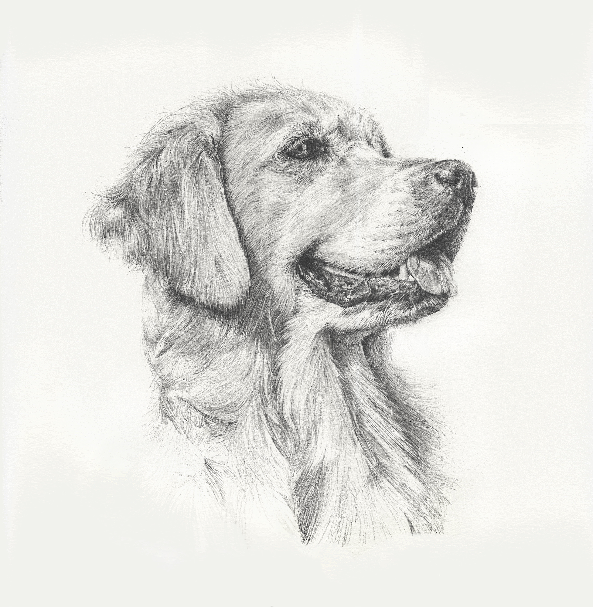 Drawing & Painting Class